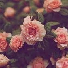 Yvette Nicole Padilla