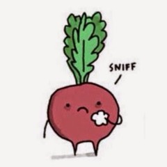 Songs to get ready to