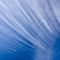 suncloud
