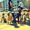 Dog Walking