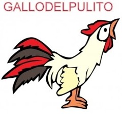 IlGalloDelPulito