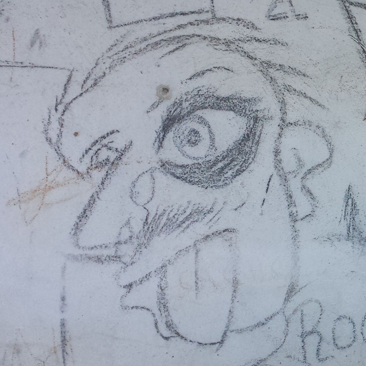 salamar