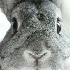 dj drywood (official)