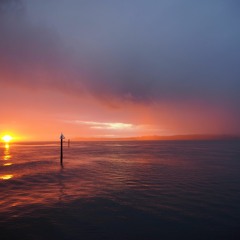 Are You Alone and Lost my Friend