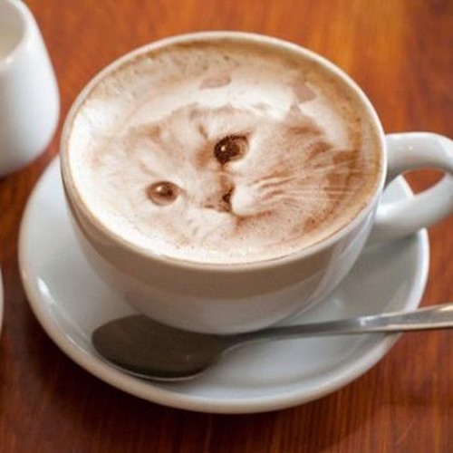 TBoom Music - Leaving (MMV's Version)