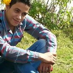 Mohamed Ahmed Amer