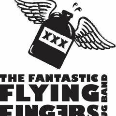 Flying Fingers Jug Band