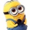 User 295427857