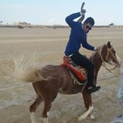ءmohsen