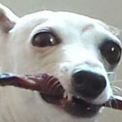 LUDAWG