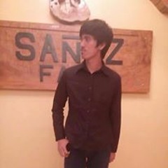 Alan Zaldy Alberca Sarez