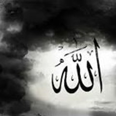 أغانى عجبانى