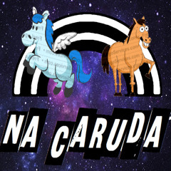 Guilherme campos de souza