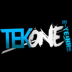 TekOne