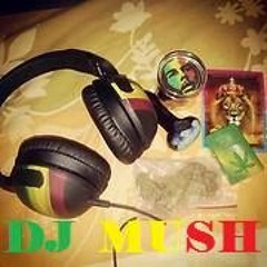 DJ-MUSH MUSH
