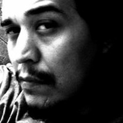 Birch Book - Werewolf's eyes