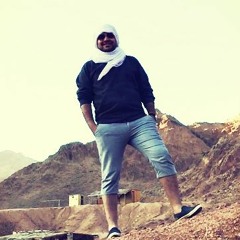 Mohamed Elsharqawy