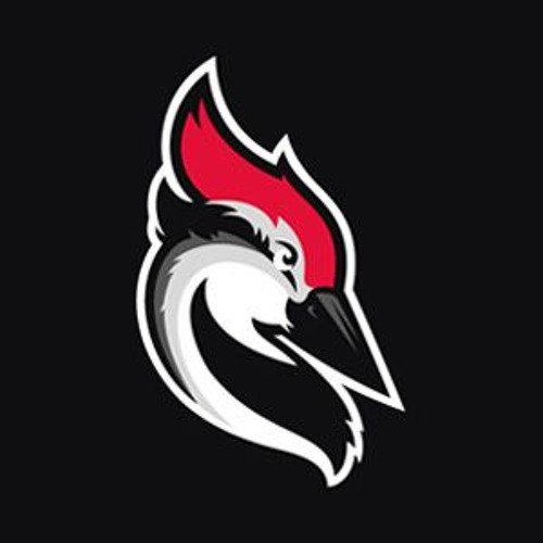 Woodpecker.co’s avatar