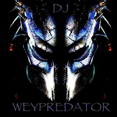 WEYPREDATOR IN THE MIX