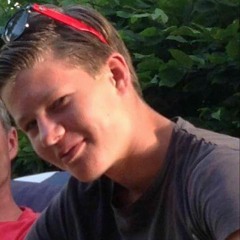 Jesse van der Laan