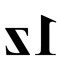 1z™