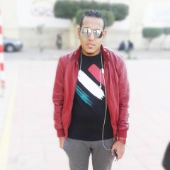 Mohamed EL-Temawy