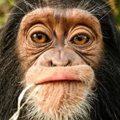 Jean Brousso - Une Maman