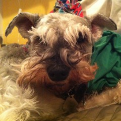 When I Ripped My Pants (Spongebob Squarepants Cover)