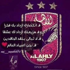 Ayman Allam 3