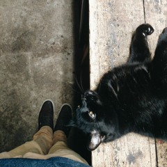 Blk Mrkt