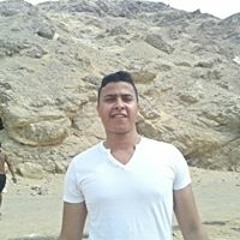 Amr M. El-Nashar