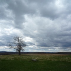 J.S. Bach Contrapunctus 7 Improv