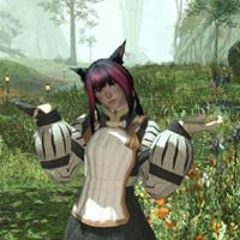 Raifu Kurogaea D'Pheonix