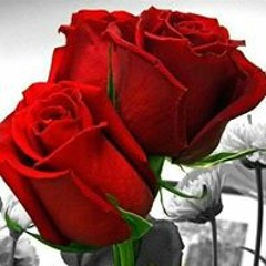 كرار العامري