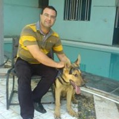 Ehsan Sadeghi Mojarrad