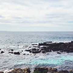 meadowsofwildflowers