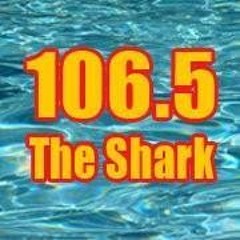 106-5 The Shark