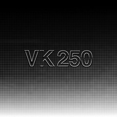 VK 250