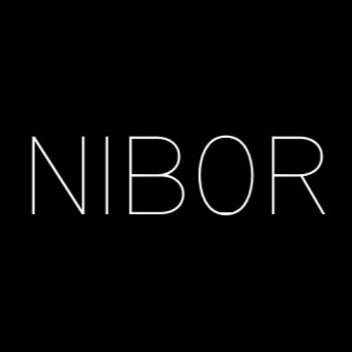 NIB0R’s avatar