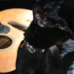 Black Cat And The Boy