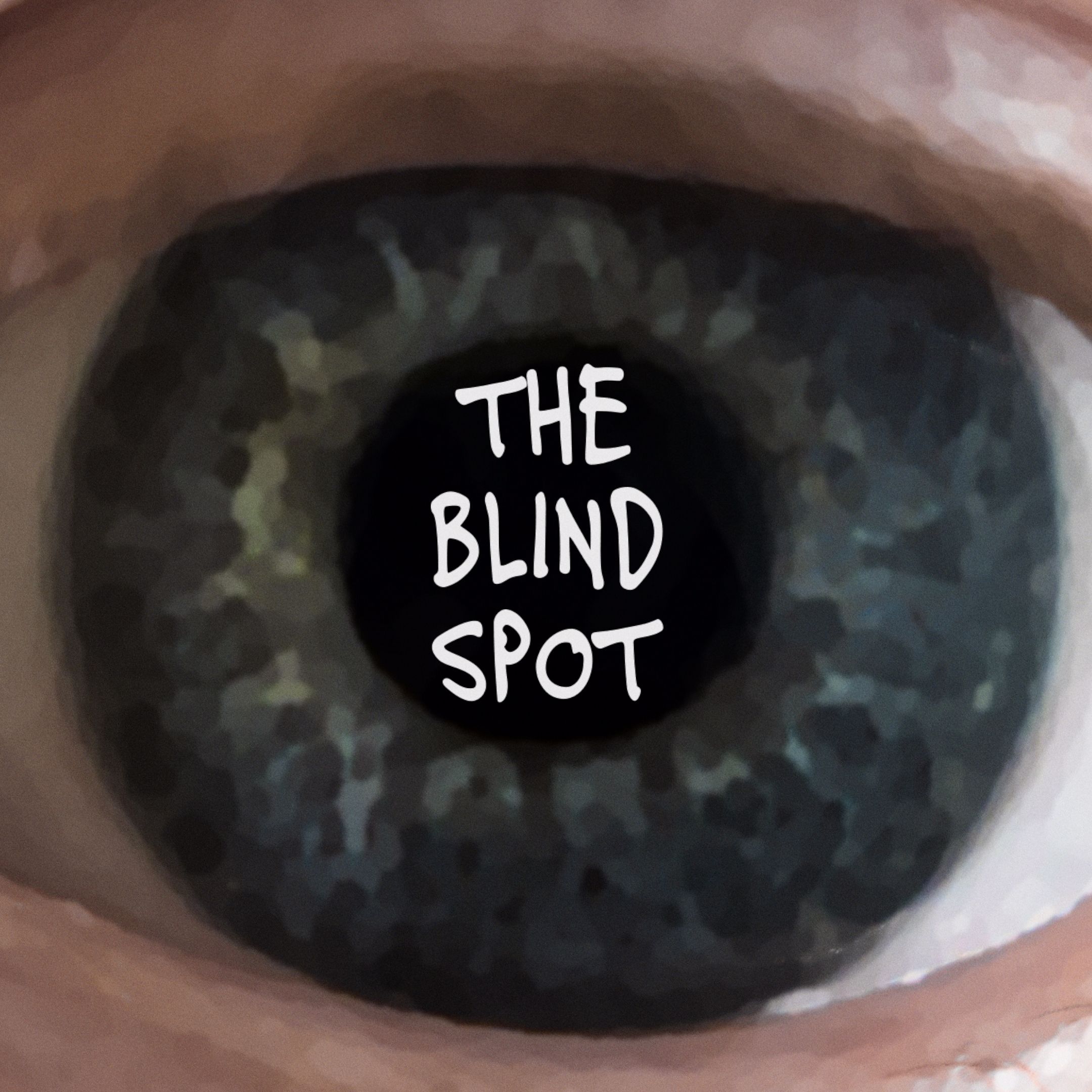 The Blind Spot