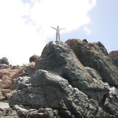 tarafeldman