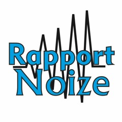 Rapport Noize