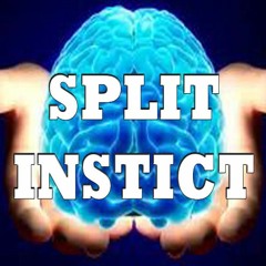 Split Instinct