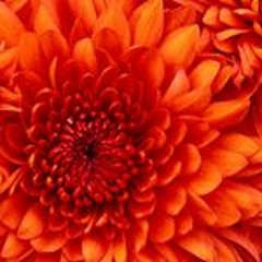الصامدة 4 - حوارية الصبر - المالكي & البلادي
