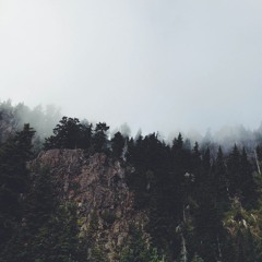 LØST