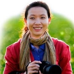 Song zu Deutsch lernen