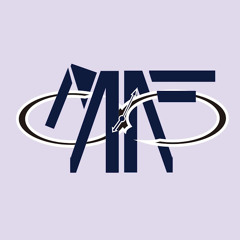 Muhammad Nur Faishal