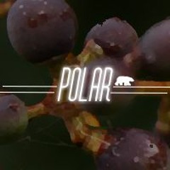 Polar