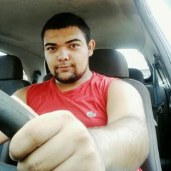 Leandro Meneses Sodre